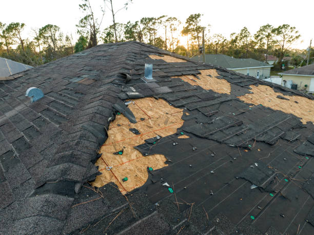Best Gutter Installation and Repair  in Trenton, OH